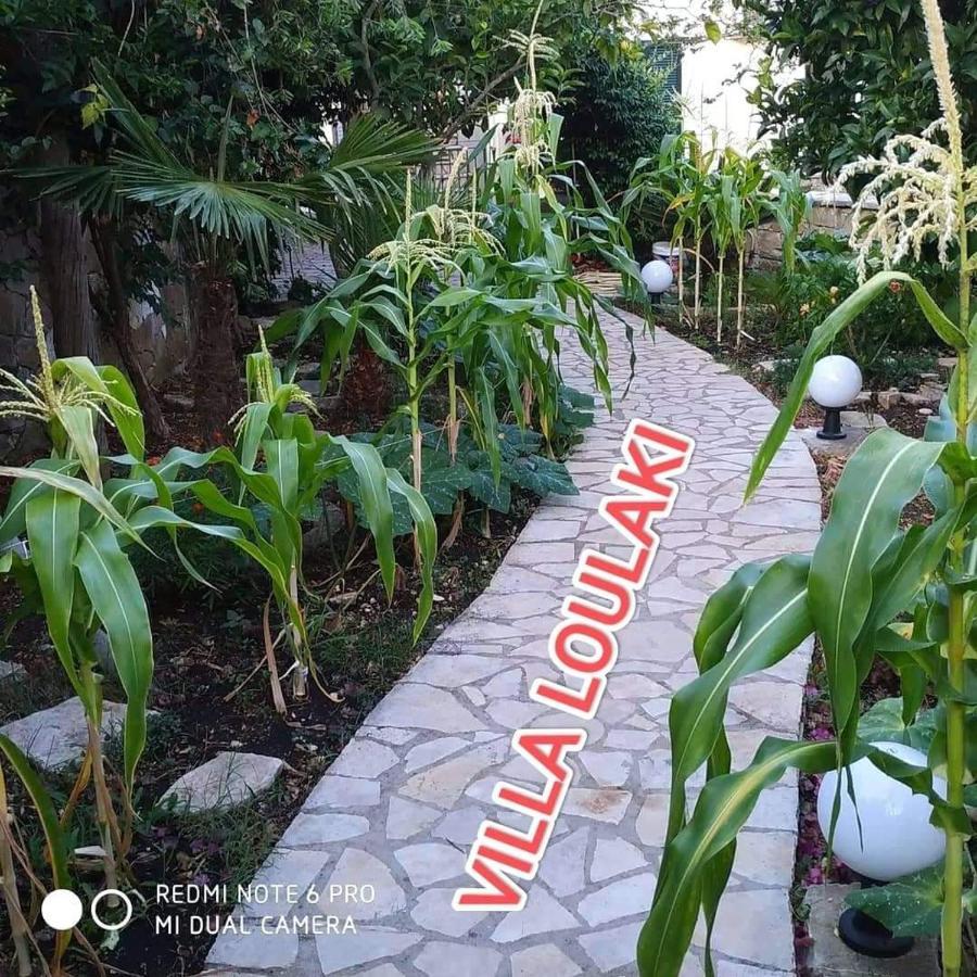 Villa Loulaki Magazia Paxi Arvanitakeika Екстер'єр фото