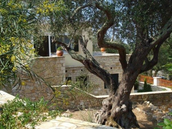 Villa Loulaki Magazia Paxi Arvanitakeika Екстер'єр фото